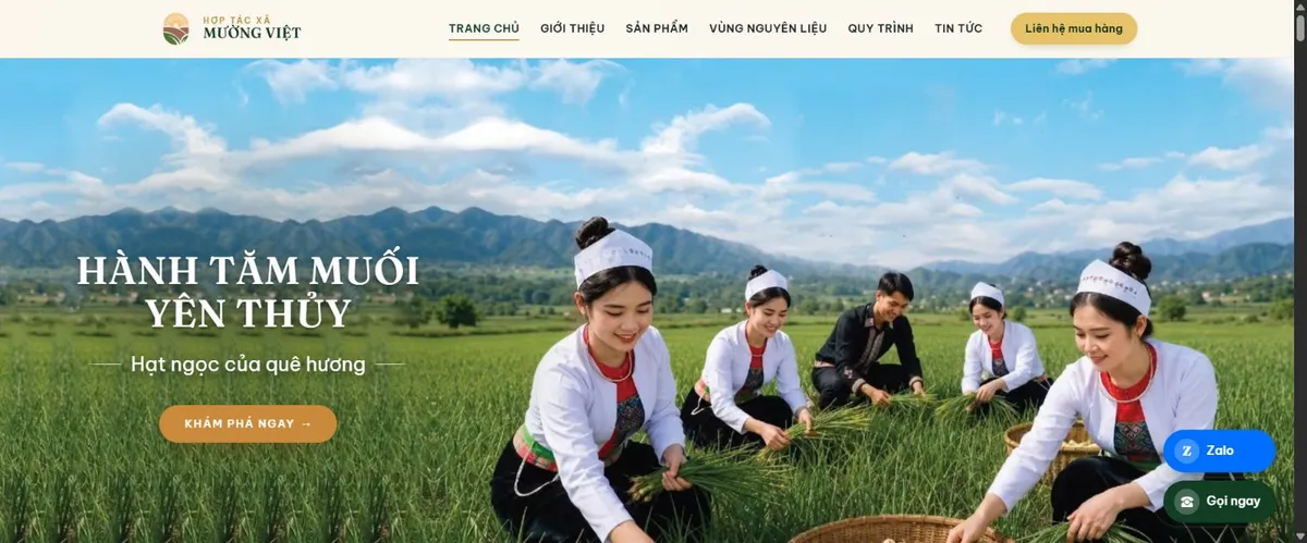 Ảnh chụp trang chủ HTX Mường Việt với nhận diện xanh vàng và tiêu đề Hành tăm muối Yên Thủy